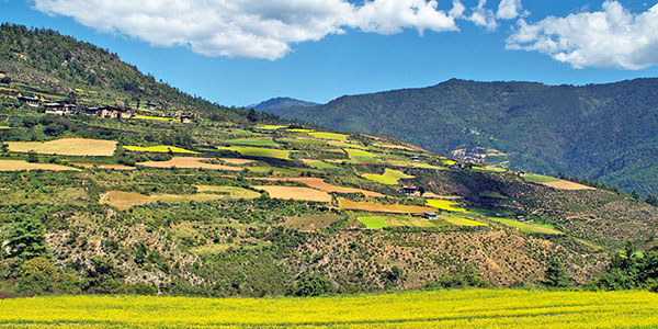 Haa Valley