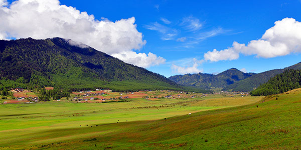 Phobjikha Valley