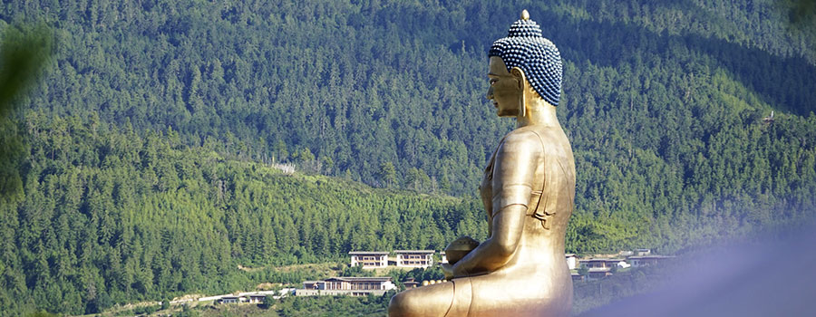 A Comprehensive 7 Day Cultural Roadmap to Explore Bhutan by Road