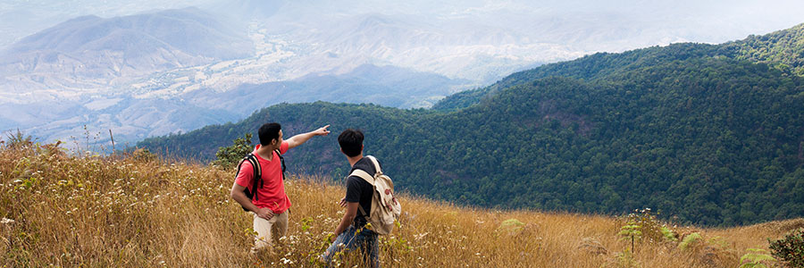 Advantage of Choosing Car Rental in bhuatn