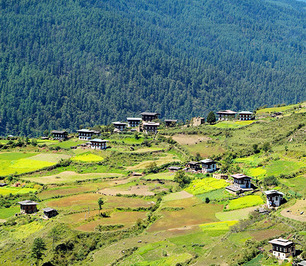 Haa Valley