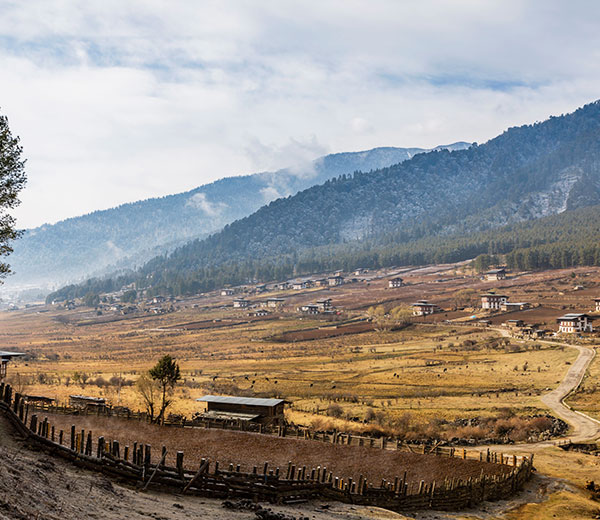 Phobjikha Valley
