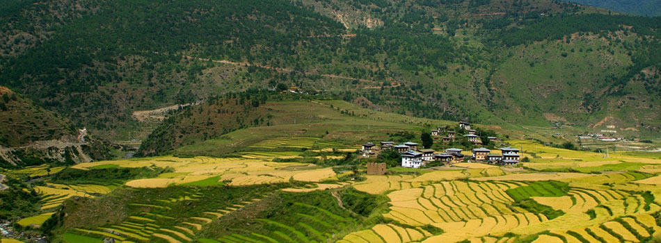 Bhutan Tours