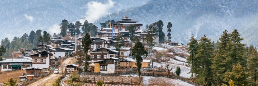 Bhutan Tours