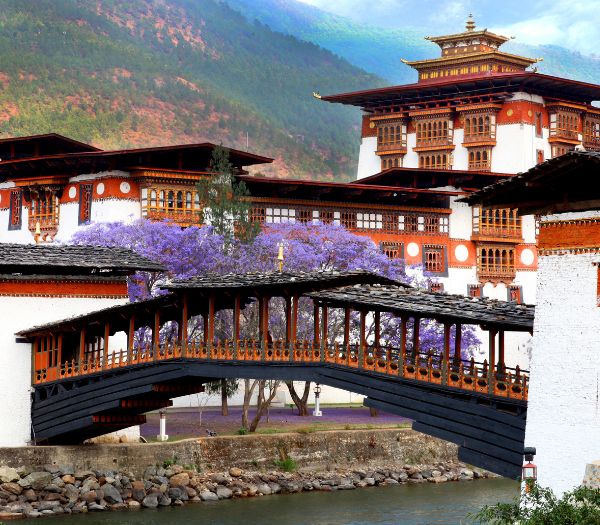 Punakha Suspension Bridge