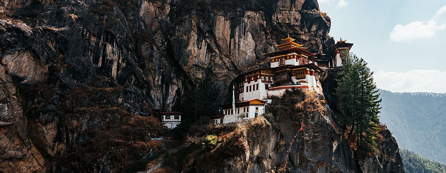 Why Choose Bhutan Rental & Travel for Road Travel